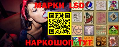 стафф Будённовск