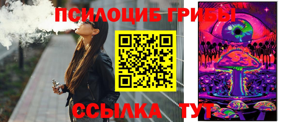 Пугачёв  Галлюциногенные грибы Psilocybe  Вход с VPN 